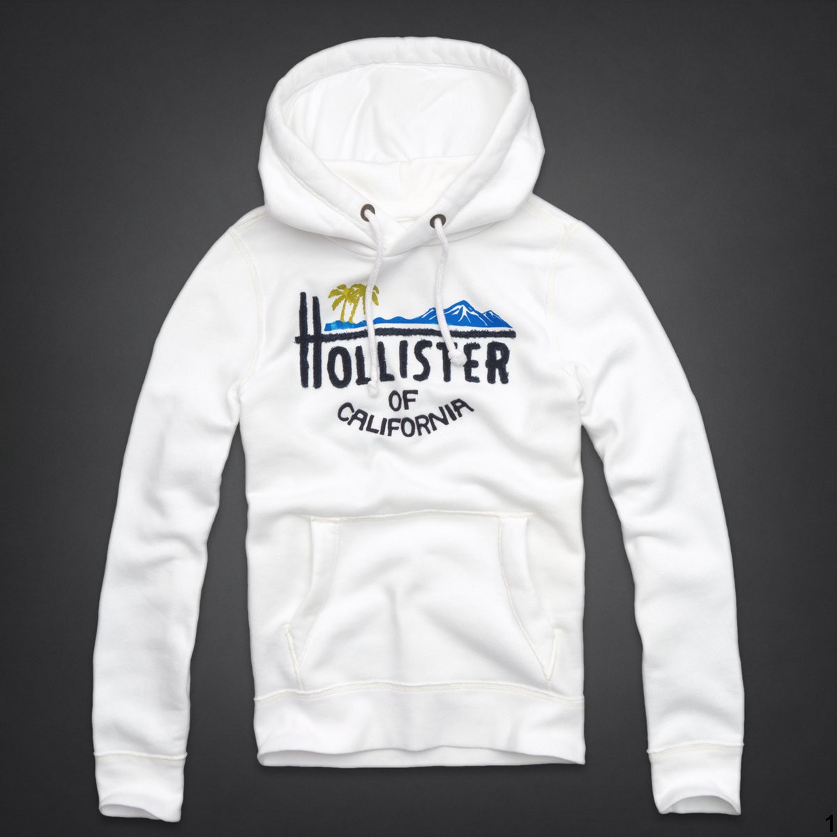 Hollister Hombres Outlet Capucha HCO4637